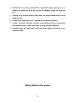 Referāts 'Saskarsmes un biznesa kultūra Rumānijā', 15.