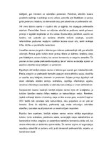 Eseja 'Lietišķās etiķetes normas profesionālajā vidē', 4.