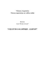 Eseja 'Ceļojuma galamērķis - Karpati', 1.