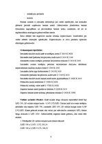 Paraugs 'Nolikums par uzņēmuma kases operācijām', 4.