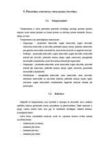 Referāts 'Psiholoģiskais pētījums', 12.