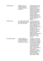 Konspekts 'Jēdzieni sociālajā pedagoģijā', 3.