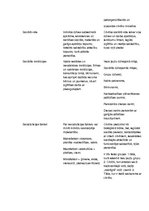 Konspekts 'Jēdzieni sociālajā pedagoģijā', 5.