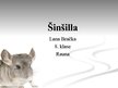 Prezentācija 'Šinšilla', 1.