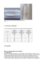 Konspekts 'Temperatūras ietekme uz sēklu dīgšanu un attīstību', 2.