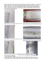 Konspekts 'Temperatūras ietekme uz sēklu dīgšanu un attīstību', 3.