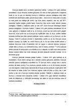 Referāts 'Krievijas pozīcija Izraēlas - Libānas 2006.gada konfliktā', 12.