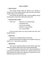 Referāts 'Sirds slimības', 1.