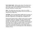 Konspekts 'Apraksts par pirmatnējiem cilvēkiem', 2.