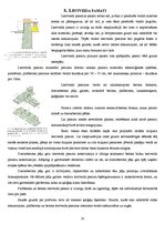 Konspekts 'Individuālā būvniecība', 10.