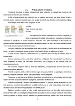 Konspekts 'Individuālā būvniecība', 16.