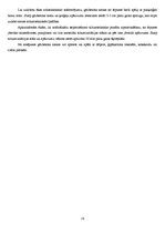 Konspekts 'Individuālā būvniecība', 29.