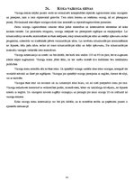 Konspekts 'Individuālā būvniecība', 43.