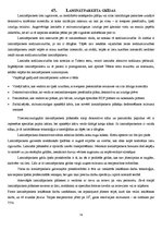 Konspekts 'Individuālā būvniecība', 78.