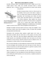 Konspekts 'Individuālā būvniecība', 111.