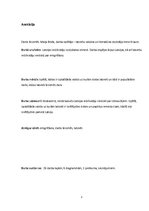 Referāts 'Darbs ārzemēs', 3.