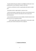 Referāts 'Darbs ārzemēs', 8.