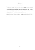 Referāts 'Darbs ārzemēs', 15.