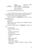 Referāts 'Produktu ražošanas iespējas ēdināšanas uzņēmumā', 10.