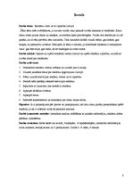 Referāts 'Reklāmu veidi un to izplatība Latvijā', 6.