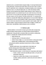 Referāts 'Reklāmu veidi un to izplatība Latvijā', 10.