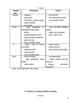 Referāts 'Reklāmu veidi un to izplatība Latvijā', 19.
