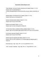 Referāts 'Reklāmu veidi un to izplatība Latvijā', 30.