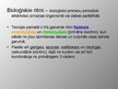 Prezentācija 'Bioritms', 2.