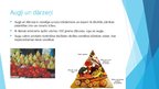 Prezentācija 'Ēdiens veselīgam dzīvesveidam', 4.