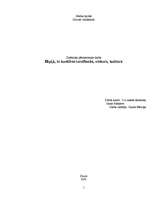 Referāts 'Hipiji, to kustības izcelšanās, vēsture, kultūra', 1.