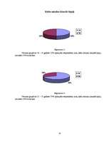 Referāts 'Hipiji, to kustības izcelšanās, vēsture, kultūra', 16.