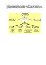 Eseja 'Sievietes sociālā veselība', 2.