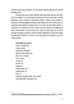 Eseja '"Intensīvais līdervadības kurss" Pauls Tafinders', 4.