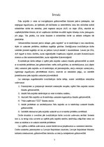 Referāts 'Pašu kapitāls', 3.