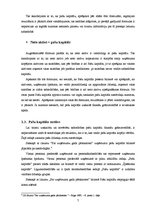 Referāts 'Pašu kapitāls', 7.