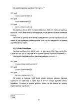 Referāts 'Pašu kapitāls', 28.