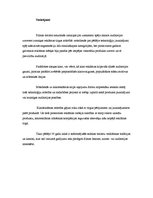 Referāts 'kinofilmas (treileru) reklāmas vēsture', 7.