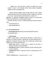 Referāts 'Uzņēmuma iekšējā un ārējā vide', 10.