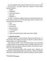 Referāts 'Uzņēmuma iekšējā un ārējā vide', 13.