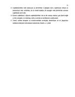 Referāts 'Uzņēmuma iekšējā un ārējā vide', 22.