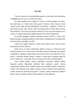 Referāts 'Dokumentācijas izstrāde biznesa klases 5 zvaigžņu viesnīcai "Intelligence"', 4.