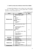 Referāts 'Dokumentācijas izstrāde biznesa klases 5 zvaigžņu viesnīcai "Intelligence"', 12.