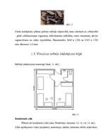 Konspekts 'Viesnīcu mēbeles', 10.