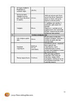 Prakses atskaite 'C kategorijas treneru prakses projekts', 13.