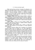 Referāts 'Uzņēmuma darbinieku motivācijas līmeņa paaugstināšanas projekts', 19.