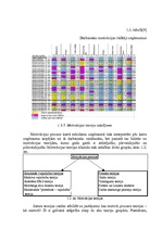 Referāts 'Uzņēmuma darbinieku motivācijas līmeņa paaugstināšanas projekts', 20.