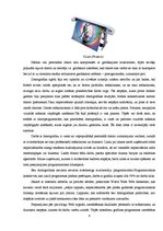 Referāts 'Vektora un rastra grafikas atšķirības', 8.