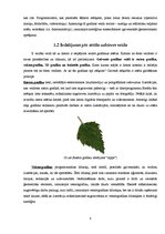 Referāts 'Vektora un rastra grafikas atšķirības', 10.