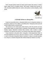 Referāts 'Vektora un rastra grafikas atšķirības', 13.