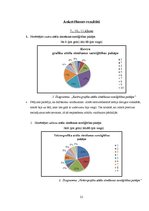 Referāts 'Vektora un rastra grafikas atšķirības', 23.